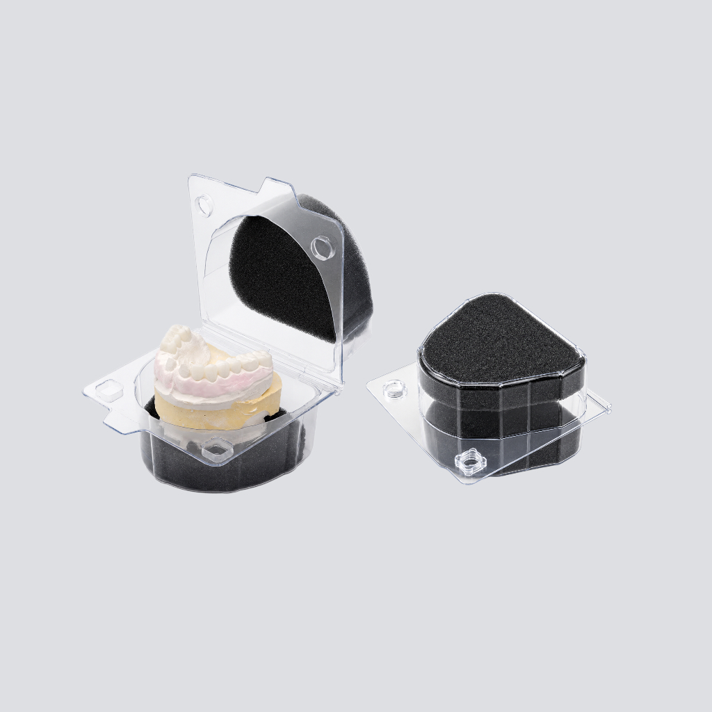 Open and closed model protection boxes with foam inserts